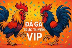 Đá Gà Trực Tuyến VIP BANCA05 – Sân Chơi Đỉnh Cao